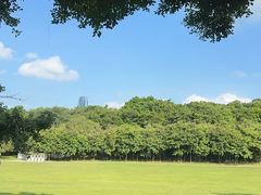 -莲花山公园