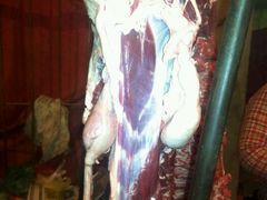 -胡记烧烤(黄山新村总店)