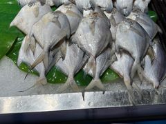 -非烤勿扰自助烤肉(东坑四季广场店)