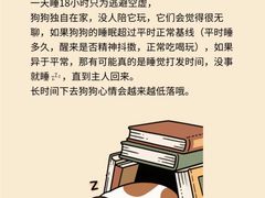 -立德24H动物医院·夜诊·转诊中心·1.5T核磁共振(海珠店)