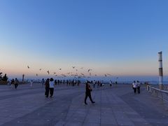 -东港音乐喷泉广场