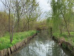 -溱湖国家湿地公园