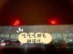 -郑州新郑国际机场