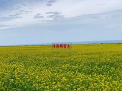 -青海湖国家重点风景名胜区