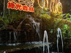-绿光森林餐厅