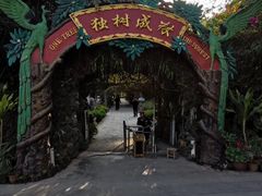 -瑞丽独树成林风景区
