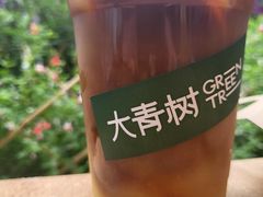 -大青树咖啡(大理古城店)