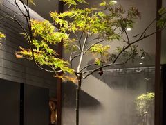 -王府茶楼茶宴·创意菜(朝阳公园店)