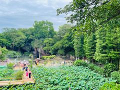 -广州莲花山旅游区