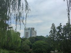 -绵阳人民公园(涪城区)