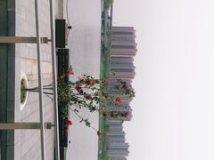 -映月湖中央公园
