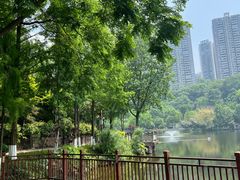 -重庆彩云湖湿地公园
