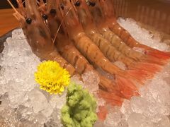 -月龍吟(朝龙汇店)