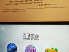 -四川大学博物馆