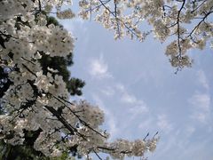 -范蠡湖公园