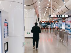 -大望路(地铁站)