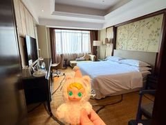 -汕头龙光喜来登酒店