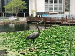 -苏州河梦清园环保主题公园