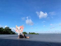 -宝安西湾红树林湿地公园