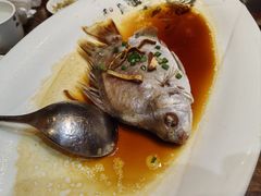 -梧桐庄园