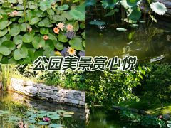-三里河公园