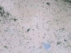 -北海金海湾红树林生态旅游区