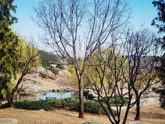 -北京西山国家森林公园