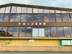 -岚山猴子公园