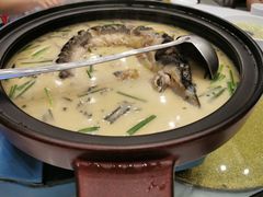 -饭怕鱼(阳光100店)
