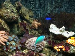 -北戴河圣蓝海洋公园