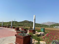 -西海岸生态观光园
