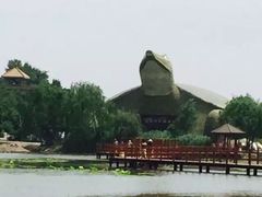 -白洋淀景区