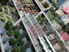 -KKV(天津津南吾悦广场店)