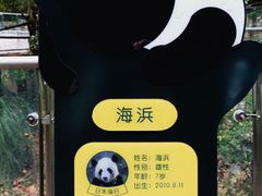 -黔灵山公园