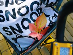 -长白岛森林公园