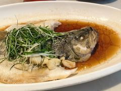 蒸鲈鱼-泓历皇朝酒店(东亭店)