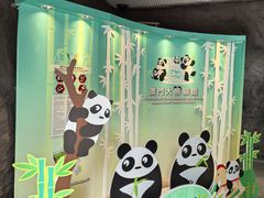 -石排湾郊野公园