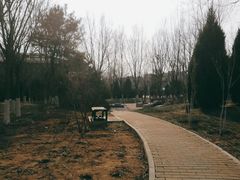 -东升文体公园