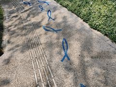 -成都市活水公园