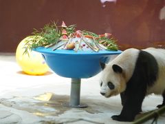 -杭州野生动物世界