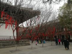 -西安青龙寺遗址景区