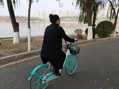 -丁香湖公园