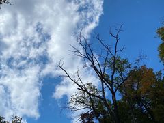 -天女山森林公园