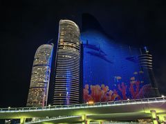 -演武大桥观景平台