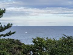 -滨千鸟之汤 海舟
