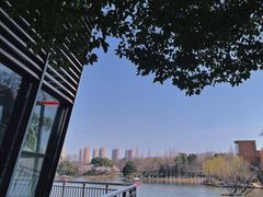 -青枫公园