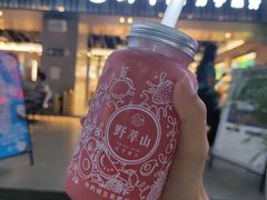 -野萃山·潮汕厚果汁(十亩地店)