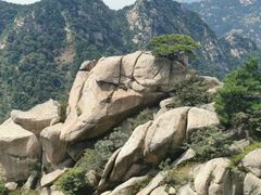 -沂蒙山旅游区云蒙景区(蒙山国家森林公园)