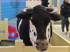 -红星前进面包牛奶公司(君太店)