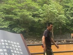 -茅兰沟国家森林公园